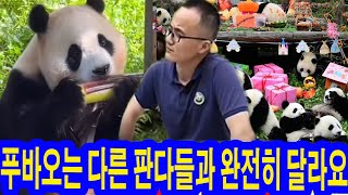 사육사 쉬샹이 푸바오의 충격적인 습관을 공개합니다!! \