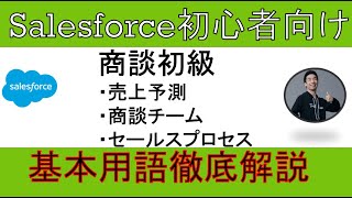 【商談初級】Salesforce解説【初心者向け】