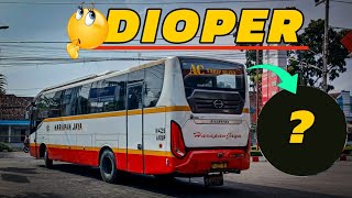 BARU KALI INI KENA OPER‼️TRIP REPORT BUS HARAPAN JAYA | transconvey