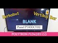 Polytron PLD43BS153 Panel PT430CT02 Blank vertikal bar @electrical407