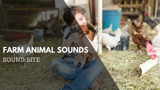 Farm Animals Sound Effects | Animal Audio Clips \u0026 Sound Bites | Clean Sound Clips