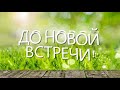 Какие птицы первыми прилетают весной. ТОП 7 плюс бонус . Реальное видео весенних птиц в природе.