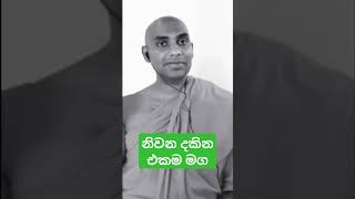 නිවන දකින එකම මග Way for Enlightenment #wangeesa #akaliko