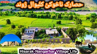 Hisarak Nangarhar Village Life | Hesarak District Nangarhar | Village Life | حصارک ننګرهار