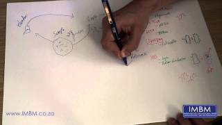 Extracting Genomic DNA Part 1
