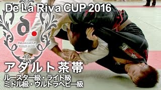 【ヒカルド･デラヒーバ杯2016】アダルト茶帯階級別