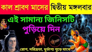 কাল শ্রাবণ মাসের দ্বিতীয় মঙ্গলবার এই ১টি ফুল গৃহে রাখুন, সংসারে অর্থ সৌভাগ্যে ভরে যাবে