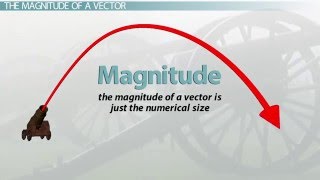 What is a Vector?