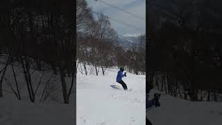 八海山のコブを滑る１２歳小学6年生　八海山のコブは難しい🎿2024年3月24日#八海山スキー場 #八海山のコブ