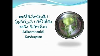 అటికమామిడి // పునర్నవ// గలిజేరు ఆకు కషాయం // Atikamamidi Kashayam in Telugu