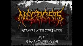 Necrosis live at FLESH PARTY OPEN AIR 2015 / SLOVAKIA