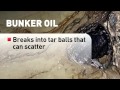 What is bunker fuel and why it's an environmental nightmare