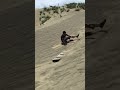 Paoay sand dunes ... Ano kaya pa?