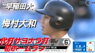 早稲田大学　梅村大和　代打・サヨナラ打＆リーグ戦初ホームラン(世田谷西リトルシニア-早稲田実業)【2023年東京六大学野球秋季リーグ戦】日本生命