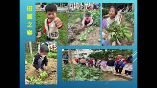 苗栗縣造橋鄉農會114年度幸福農村推動計畫提案說明