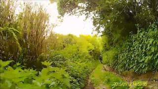 Greenlaning in East Sussex on Scorpa TYS-125F - video 3