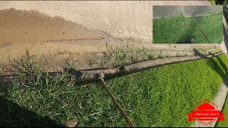 Edging Up Overgrown Edge With Trimmer P.O.V (really satisfying)