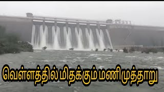 வெள்ளத்தில் மிதக்கும் மணிமுத்தாறு l Manimuthar dam l floods in tirunelveli l thambirabarani river