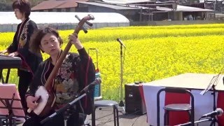 津軽三味線　古賀市筵内菜の花まつり　２０１６０３２０