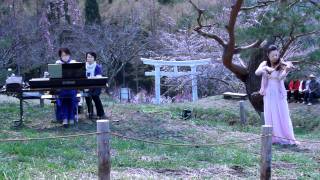 飯島千鶴\u0026幸地恵子 弁天さんのしだれ桜コンサート 2011 見上げてごらん、夜空の星を.mp4