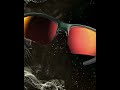 数量限定直営カラー2022【lion sin】｜swans sunglass