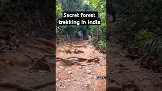 Secret forest trekking in India🫣 #foresttrekking #trending #youtubeshorts #shortsviral #viralvideo