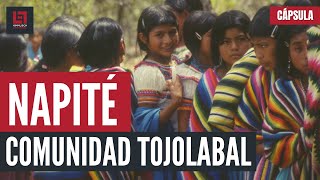 CÁPSULA: Napité, comunidad tojolabal en Chiapas, México.