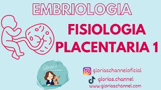 Embriologia humana: funciones de la placenta