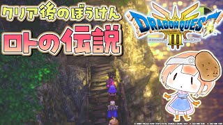 【DQ3,HD‐2D版】クリア後、新ドラクエ３やっていく！HD-2D版『ドラゴンクエストIII　そして伝説へ…』！#17  ※ネタバレ注意【女性実況】