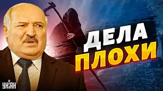 Лукашенко, действительно, плохо: серьезно болен или отравили? - Шейтельман