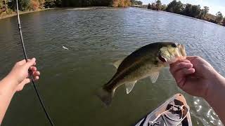 Fall Bass Fishing