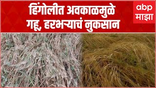 Hingoli Rain : हिंगोलीत  अवकाळी पावसाची हजेरी, अनेक पिकांना फटका