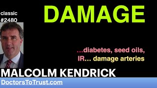 MALCOLM KENDRICK | DAMAGE    …diabetes, seed oils, IR… damage arteries