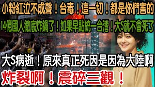 炸裂啊！震碎三觀！大S病逝！原來真正死因是因為大陸啊！14億國人徹底炸鍋了！太可惜了！如果早點統一台灣！大S就不會死了！小粉紅泣不成聲！台毒！這一切！都是你們害的！