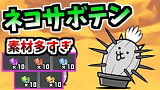 Cat Cactus (Evil Egg: N003 TF) - Information & testing - The Battle Cats