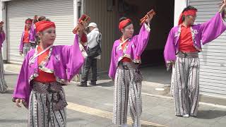 第64回よさこい祭り　8/11上町競演場　安芸 東陣