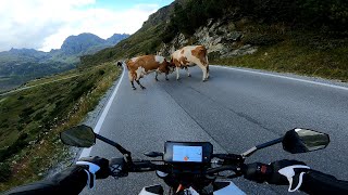 Silvretta Hochalpenstraße | KTM DUKE 390 RAW