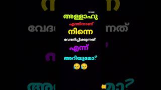 അള്ളാഹു നിനക്ക് വേദന തരുന്നുണ്ടെങ്കിൽ#shortsfeed #islamicspeech