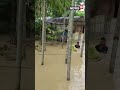 hojai news live today army to the rescue amid assam flood 2022 shorts assam news cnn news18