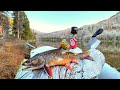 Fishing a HIGH Mountain Lake FILLED with Trout!!! (Catch & Cook)