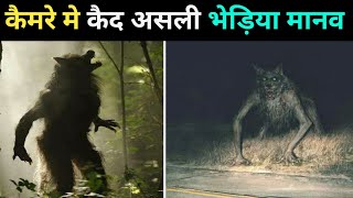 कैमरे मे कैद असली भेड़िया मानव । real werewolf | top real werewolf video in hindi |real werewolf |