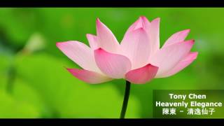 Beautiful Chinese Music Heavenly Elegance by Tony Chen 陳東 清逸仙子 (唯美中國風）