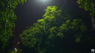 늦은밤 내리는 차분한 빗소리, 불면증과 수면을 위한 ASMR, 편안한 비오는소리, 잠 잘 오는 빗소리