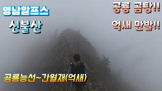 영남알프스 신불산/공룡능선~간월재 억새 산행ep.16