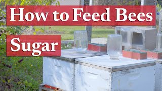 Feeding Honey Bees Sugar | Beekeeping Academy | Ep. 37