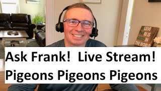 Ask Frank McLaughlin Lofts Live Stream #9 -The Art of Racing Pigeons
