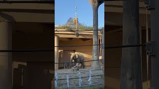 A baby Asian elephant was born at Maruyama Zoo in Sapporo, Hokkaido.