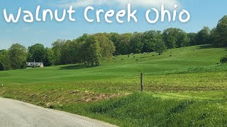 Where was the Town Center in this Amish town?