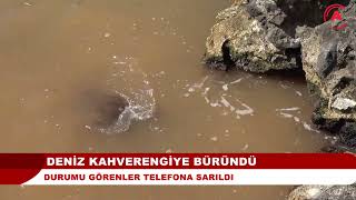 ALANYA'DA DENİZ KAHVEREGİYE BÜRÜNDÜ I Durumu görenler telefona sarıldı