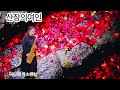 테너 산장의여인 권혜경 saxophone .이난희 🎷🦋